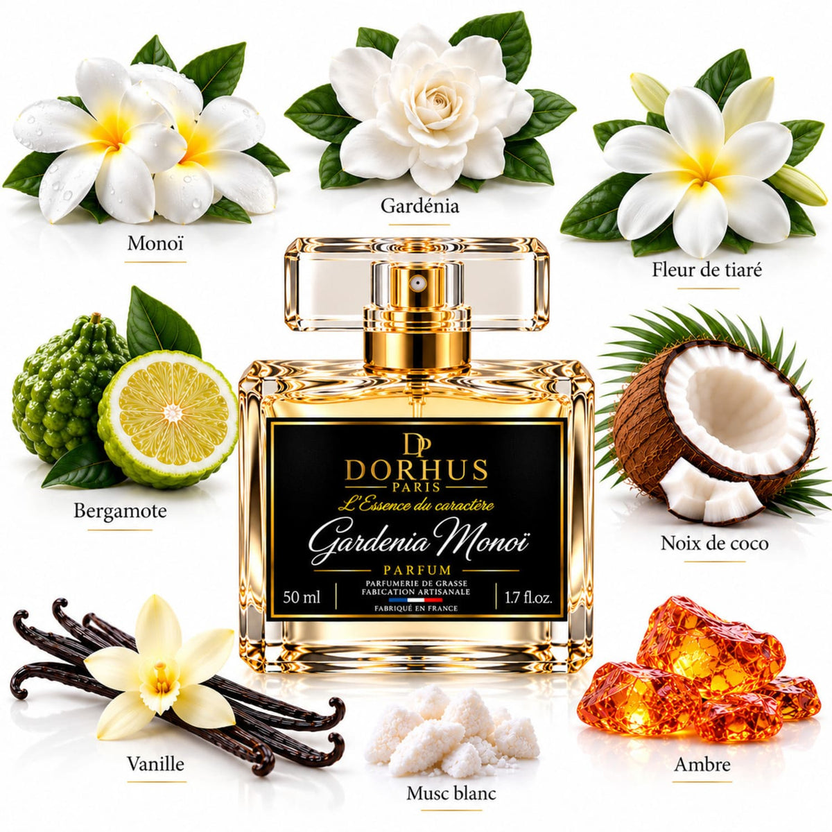 Flacon Gardénia Monoï Dorhus Paris et illustration des notes : monoï, gardénia, fleur de tiaré, bergamote, coco, vanille, musc blanc et ambre.