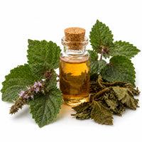 Essence de Patchouli