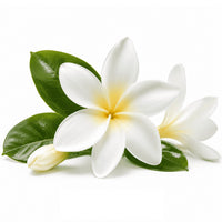 Fleur de tiaré