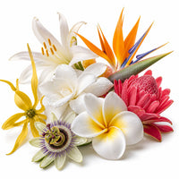Fleurs Exotiques