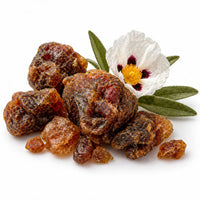 Labdanum 