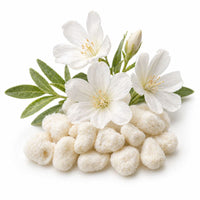 Musc Blanc 