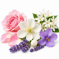 Note Florales