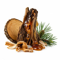 Sève de bois douce