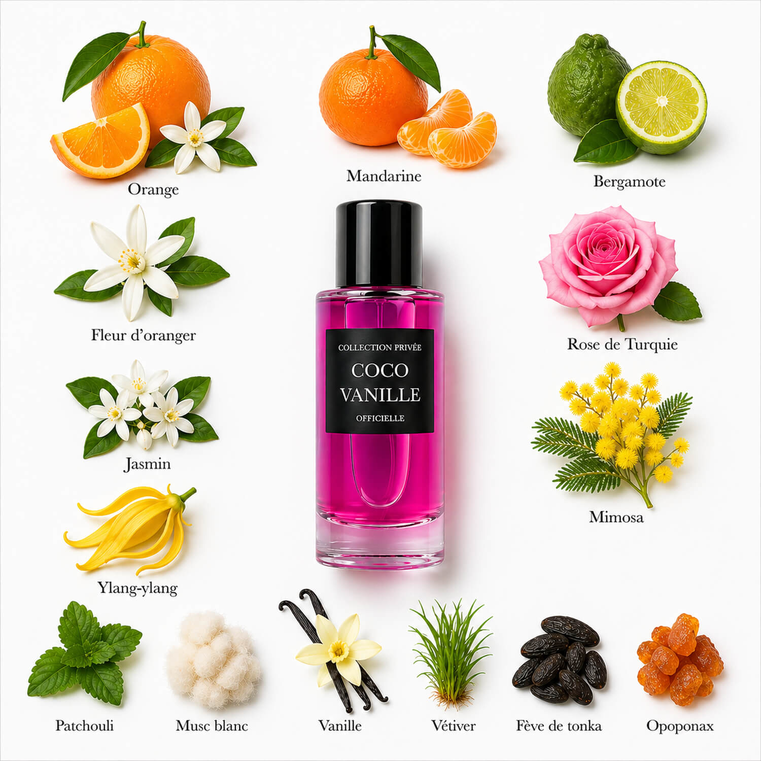 Parfum Coco Vanille