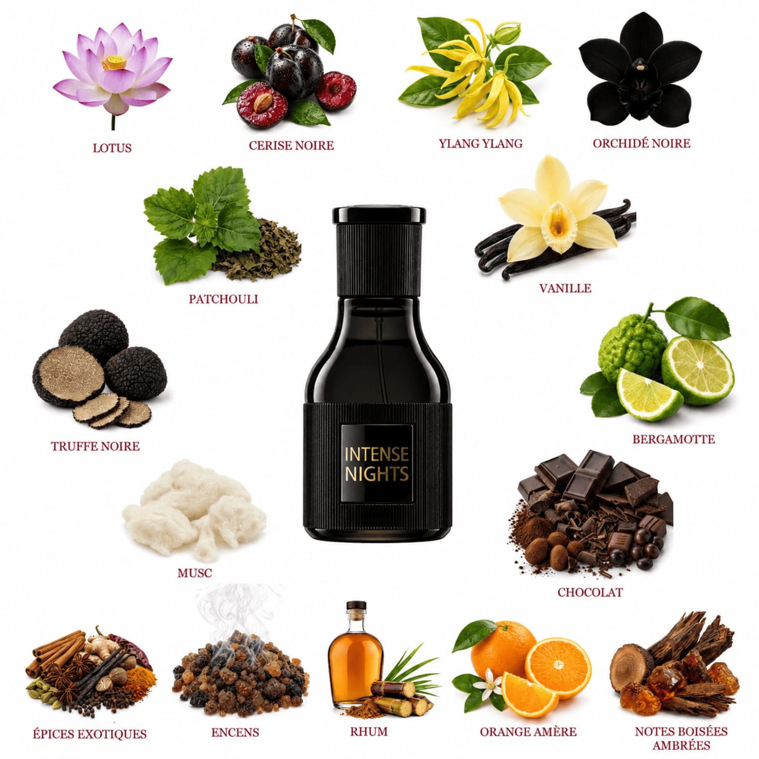 Parfum intense nights flacon avec les notes olfactives 