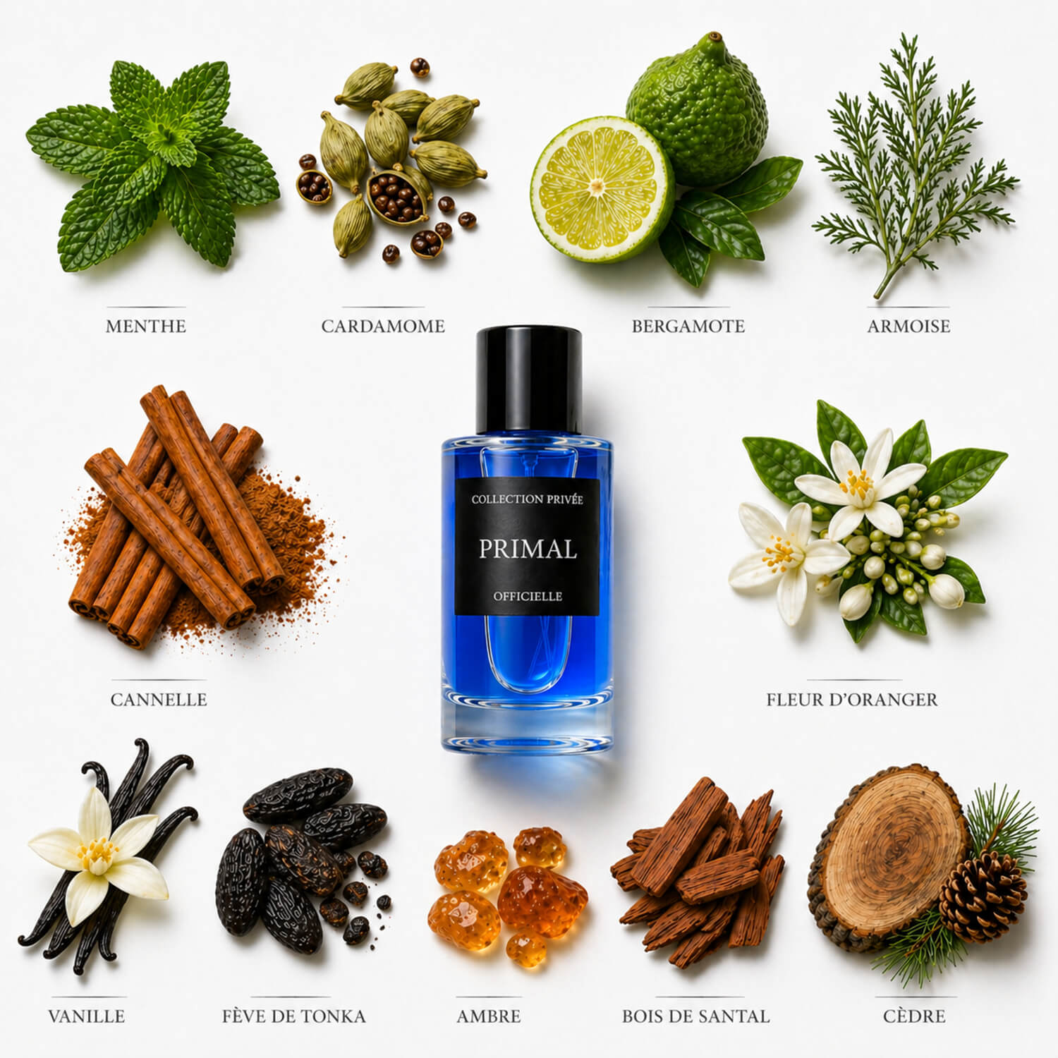 Parfum Primal